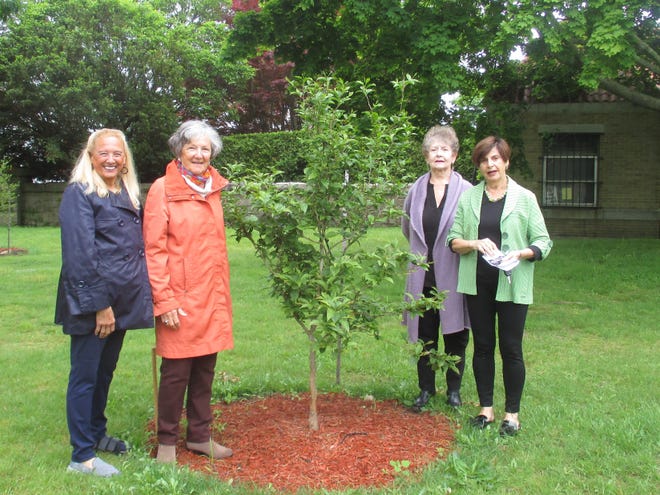 The Fall River Garden Club has planted three trees at the historic Oak Grove Cemetery as part of the celebration of our 85th anniversary and in memory of all its deceased members. From left are Barbara Bellino, Claudette Correiro, Penny Phillips and Barbara Jaryna. [Submitted photo]