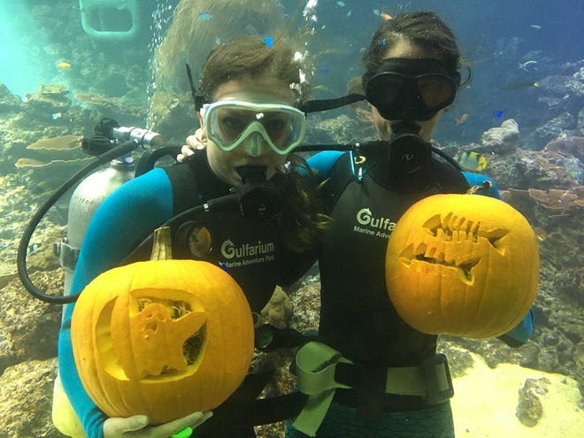 Underwater fun can be found at the Gulfarium for their annual Halloween Splash or Treat at the Gulfscarium held Oct. 27. [CONTRIBUTED PHOTO]