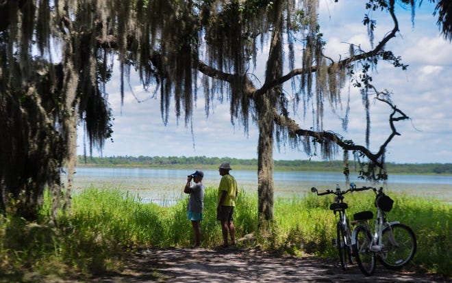 Lots of cyclists stop to admire the birds and scenery of Myakka River State Park. [Herald-Tribune Archive / Dan Wagner]