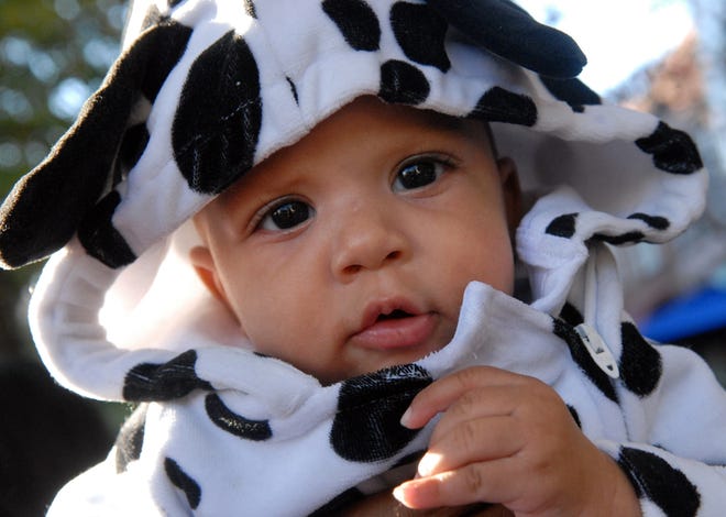 Three-Month-Old Kaleb Baldwin dons a Dalmatian costume Friday afternoon on Halloween 2008 where his sitter and brother were trick or treating. [Stephanie Bruce/The Fayetteville Observer]
