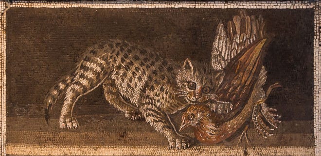 Mosaic from Casa del Fauno, detail, Pompeii, Italy, first century. A.D., Naples Museum. [Jebulon/Wikimedia Commons]