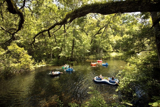 Visitors tube from the head springs of Ichetucknee Springs State Park in Fort White. [Gainesville Sun, File]