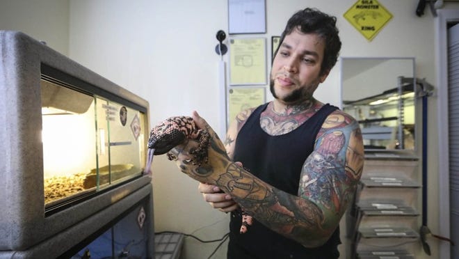Michael Klein holds his gila monster named Chervo in the reptile room of his Boca Raton home Thursday, October 11, 2018. (Bruce R. Bennett / The Palm Beach Post)