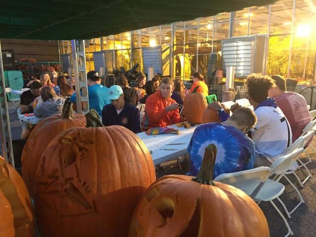 Iowa State students carved more than 600 pumpkins for the annual walk at Reiman Gardens. All of the students will be able to go to the event and see their creations come to life. Contributed photo