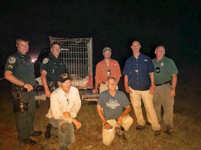 Washington County Sheriff's deputies helped rescue Tahane, an elderly gray wolf who escaped Seacrest Wolf Preserve after Hurricane Michael, Friday night in Ebro. [CONTRIBUTED PHOTO]