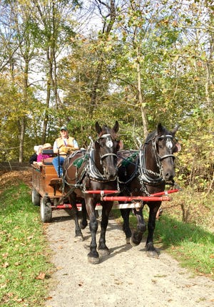 A horse-drawn wagon carries 2017 Baby Walk participants along the Holmes County Trail.