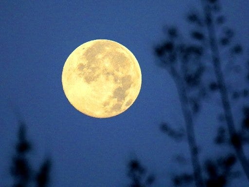 The full moon sets among the pine trees alongside the Beeline Highway Thursday morning July 2, 2015 . This is the first of two full moons this month; the next one is July 31. {LANNIS WATERS / pbpost.com}