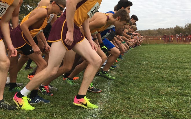 A look at the start line for a Class 2A boys cross country sectional on Saturday at Illinois Central College in East Peoria. WES HUETT / JOURNAL STAR