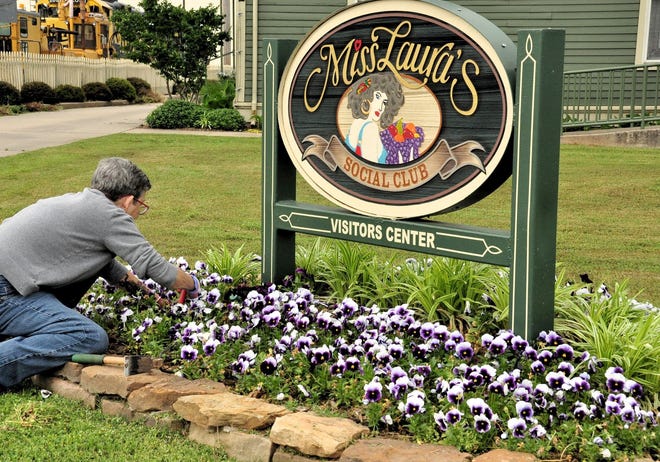 River Valley Master Gardener Mary Watts, chairperson of the Miss Laura's Visitor Center project, pulls weeds in the pansy bed. Miss Laura's is one of a dozen projects sanctioned by the River Valley Master Gardeners. [PHOTO COURTESY PAT ROBBINS, MASTER GARDENER]
