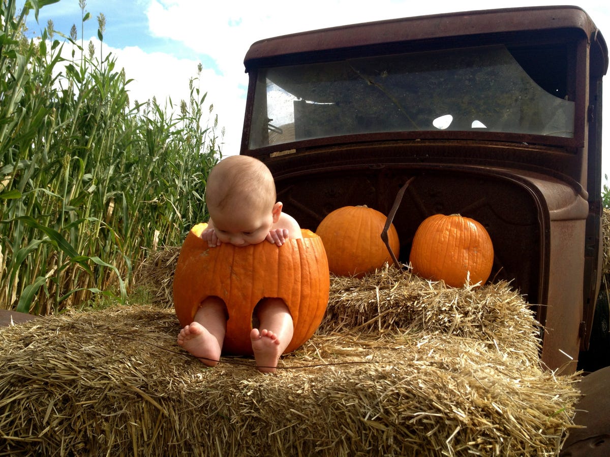 Final day of pumpkin patches and more family fun in Austin, Nov. 4-10