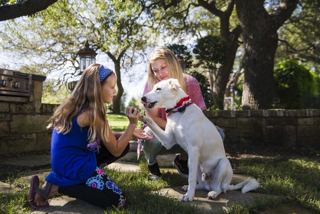 Emmylou Ridenhour, 9, and her mother, Teresa Ridenhour, play with the new family dog, Arty, who was rescued by Teresa Ridenhour's brother during his deployment in Afghanistan. A GoFundMe campaign was set up with the additional aid of Purina Dog Chow to finance Arty's trip to his new home in Texas. [Amanda Voisard/AMERICAN-STATESMAN]