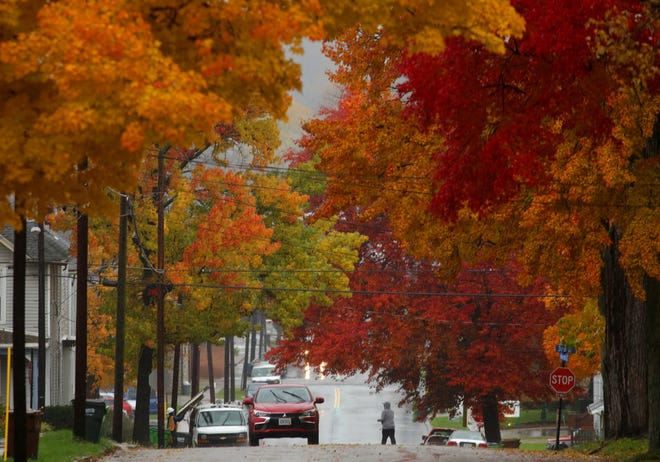 Fall colors form a canopy on North Aveue NE near Third Street NE on a rainy day in Massillon. Share your fall photos with us via email at IndeNews@IndeOnline.com.

(IndeOnline.com / Kevin Whitlock)