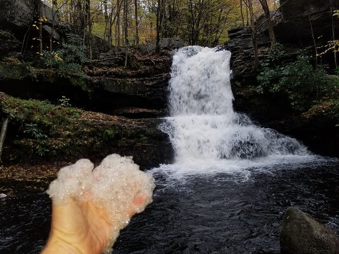 The frothy foam often seen along the bases of waterfalls and stream eddies is called Dissolved Organic Carbons, which is a mixture of decayed leaves, twigs and organic substances mixed with air and water. This foamy creation typically occurs after heavy rains. [Photo by Rick Koval]