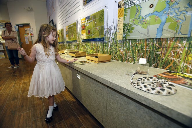 Four-year-old Aria Cox checks out the displays recently at Lyonia Center in Deltona. [News-Journal/Nigel Cook]
