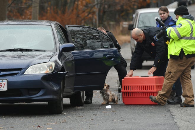Worcester police investigate a stabbing Monday on Lake Avenue North. A dog was found in a car on the street. [T&G Staff/Allan Jung]
