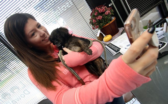 Ashley Fountain takes a selfie with "Tina" as she thinks about adopting the puppy Monday morning at Gaston County Animal Care and Enforcement on Leisure Lane in Dallas. [Mike Hensdill/The Gaston Gazette]