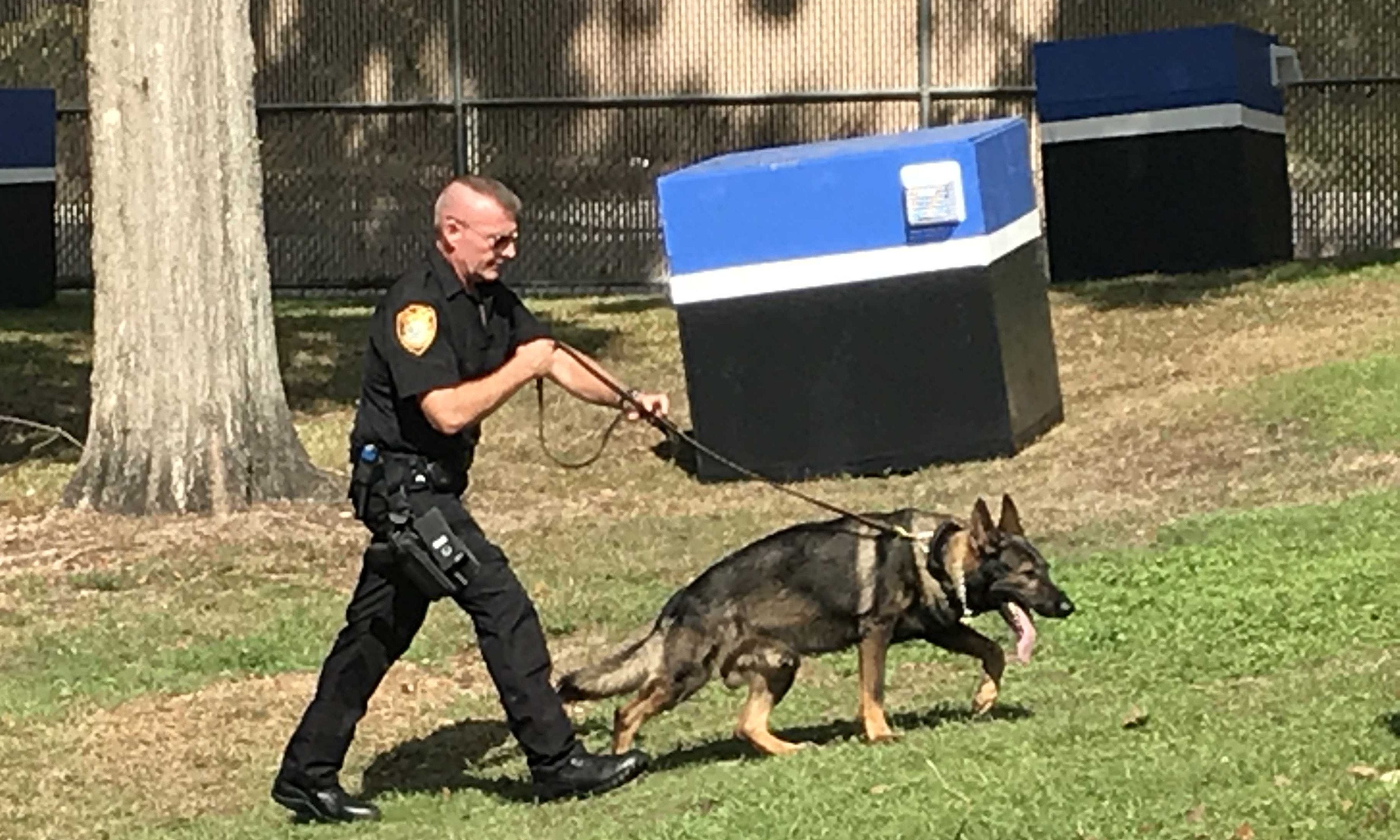 how-much-do-trained-police-dogs-cost