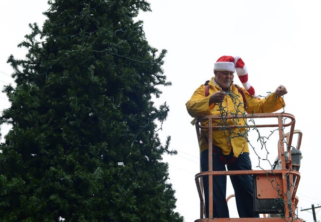 Rain didn't hamper holiday spirts at the Lenoir County Courthouse today as Randall "Cat Daddy" Sullivan of Lenoir County Public Works put up the annual Christmas Tree. The ornaments will be hung Friday morning. The gaint community Christmas tree at Pearson Park will also be decorated tomorrow. The Pearson Park tree will be lit Saturday and the winners of the downtown windows display contest will be announced at that time. [Janet S. Carter / The Free Press]