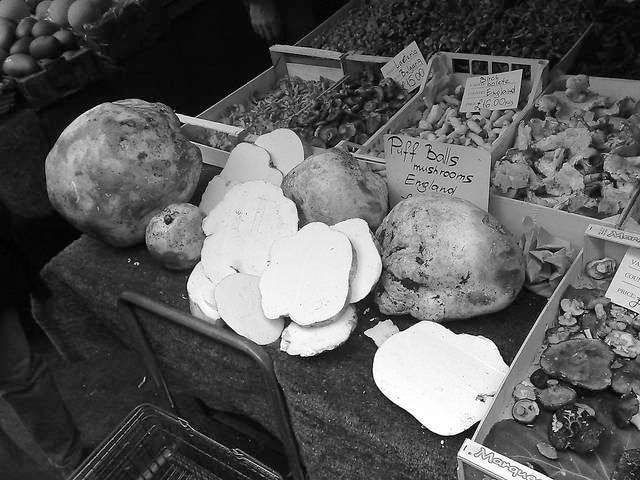 A puffball variety of mushroom for sale.