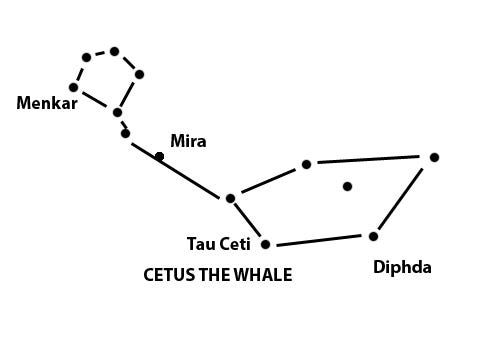 Cetus the Whale is a large, mostly dim constellation, well placed in the southern sky on late autumn evenings. Diphda is its brightest star, although it can be rivaled by the famed, variable star Mira.

[Chart by Peter Becker]