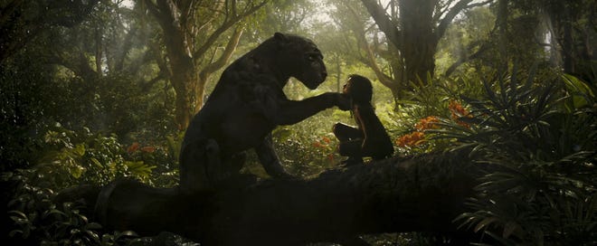 Bagheera and Rohan Chand as "Mowgli" in the Netflix film "Mowgli: Legend of the Jungle." (Netflix)