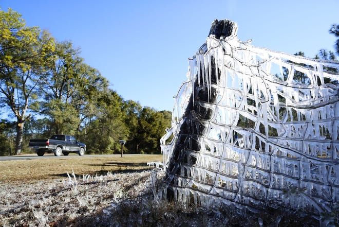 Frozen water from what appeared to have been a sprinkler left on accumulates on a fence in High Springs on Jan. 4. [Brad McClenny/Gatehouse Media Florida]