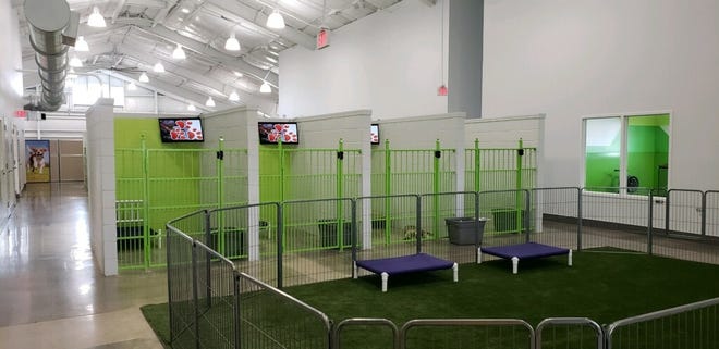 PetSuites has opened at 5205 53rd Ave. E. in Manatee County. [PROVIDED PHOTO]