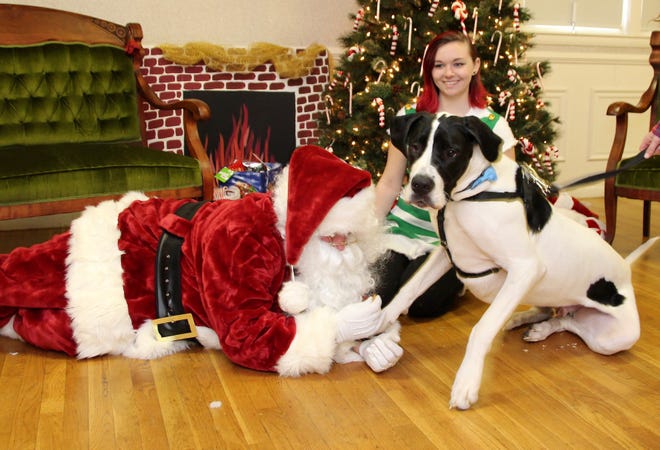 1) Kids and pets take pictures with Santa

On Sunday, Dec. 9 from noon to 3 p.m. at 1090 Pleasant St. in Paxton, the Sweetpea Friends of Rutland Animals will host family photos for kids and pups. There will be refreshments, a silent auction, a door prize, paw print, ornament making and a guided sneak peak of the animal shelter's new facility. [FILE PHOTO]