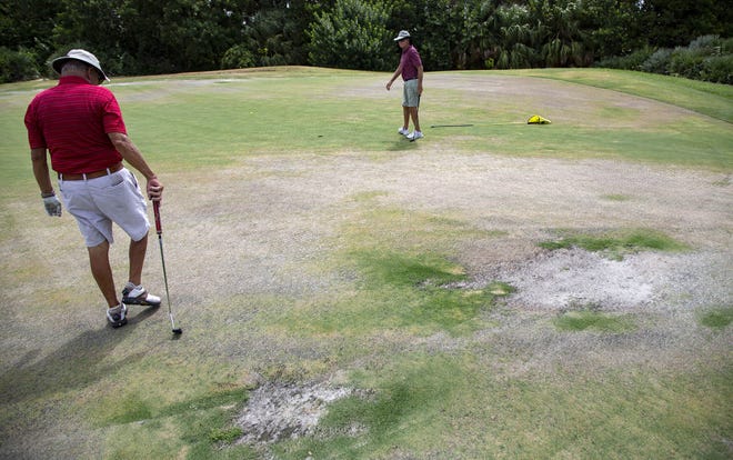 West Palm Beach's municipal golf course closed Sept. 30, in anticipation a developer would rejuvenate the 196 acres. Work has yet to begin. (ALLEN EYESTONE/palmbeachpost.com]
