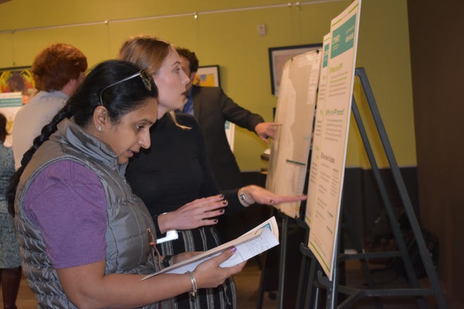 Sweetwater resident Abhirami Raghavan reviews transportation proposals at the CAMPO meeting. [Photo by Leslee Bassman]