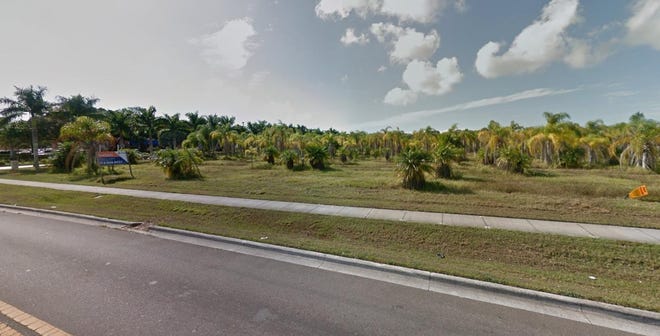 A palm tree nursery where a movie theater is planned in Ellenton. [Google Inc. photo]
