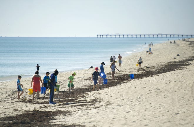 Volunteers collect trash during the Friends of Palm Beach monthly beach cleanup at Phipps Ocean Park in Palm Beach Oct. 13, 2018. Another cleanup is set for Saturday. [Meghan McCarthy/palmbeachdailynews.com]