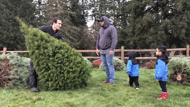In this Thursday, Nov. 29, 2018, photo, Tommy Lee, a sixth-generation tree farmer at Lee Farms in Tualatin, Ore., helps Jason Jimenez and his sons carry the Douglas fir they selected off the tree lot. Christmas tree farmers nationwide are paying a fee to the Christmas Tree Promotion Board for each tree harvested to fund a social media ad campaign aimed at convincing young families to buy real trees instead of artificial ones. (AP Photo/Gillian Flaccus)