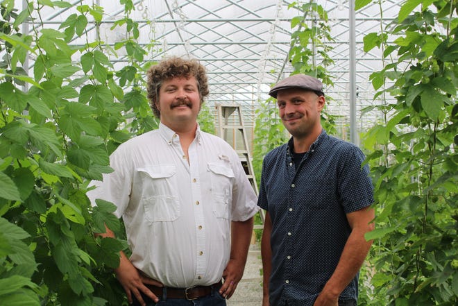 Chris Redmond, left, and Dan Krause have founded the Hopperdashery to bring Texas-grown hops to the state's breweries. [Arianna Auber / AMERICAN-STATESMAN]