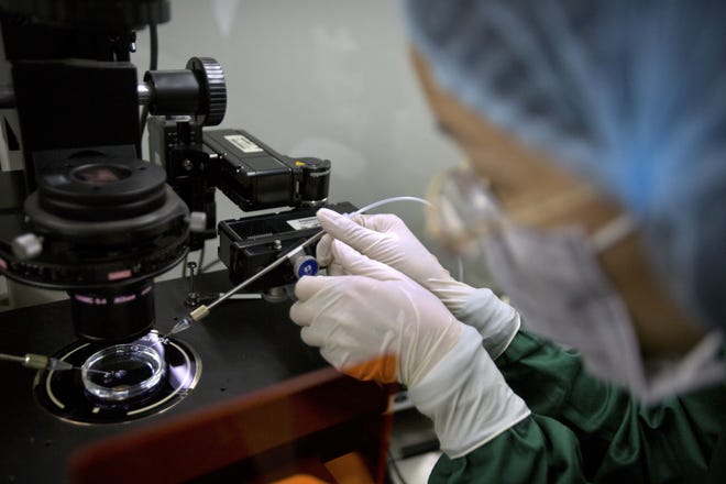 Zhou Xiaoqin installs a glass pipette into a sperm injection microscope in preparation for injecting embryos during gene research at a lab in Shenzhen, China. [File Photo/The Associated Press]