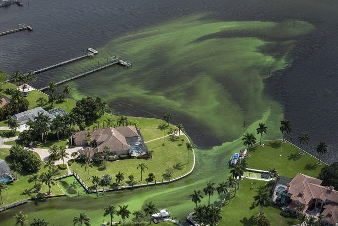 With Florida reeling from algae growth and red tide fouling waterways, Gov.-elect Ron DeSantis says he's critically aware of the need for swift environmental action — though his record in Congress gives little comfort to conservationists. [GateHouse Media File]