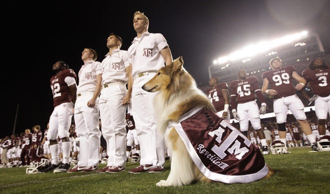 Texas A&M's mascot Reveille sits on the field with "Yell Leaders" during a game against Nebraska in 2010. [David J. Phillip/AP]