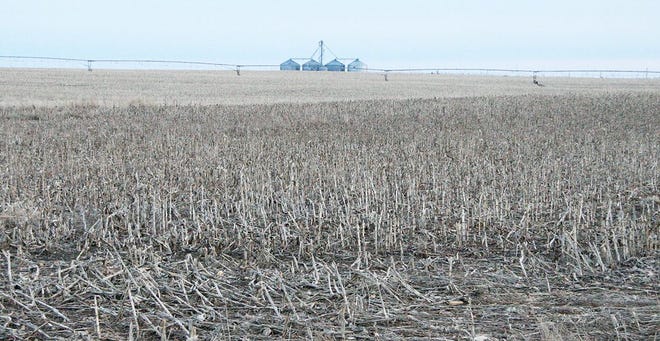 Milo stubble fills this corner of an irrigated quarter section in Pratt County. Pheasants Forever has instituted a new program, “Corners for Wildlife,” that will pay farmers to put irrigation circle corners into grass for pheasants and quail.