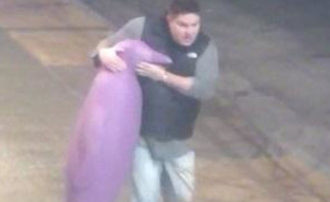 Oklahoma City police are looking for a man who allegedly stole a purple penguin statue from a downtown Oklahoma City hotel last month. [OKLAHOMA CITY POLICE DEPARTMENT]