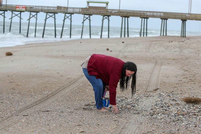 Toni Jolly spends a morning on the beach in Emerald Isle, getting some exercise and collecting seashells. Picking up seashells along the beach is one of the tourism pulls for the coastal area during the winter. [Tina Brooks/The Daily News]