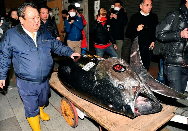Kiyomura Corp. owner Kiyoshi Kimura, left, stands near the bluefin tuna which he made a wining bid at the annual New Year auction, in Tokyo Saturday, Jan. 5, 2019. The 612-pound bluefin tuna sold for a record $3 million in the first auction of 2019, after Tokyo's famed Tsukiji market was moved to a new site on the city's waterfront
