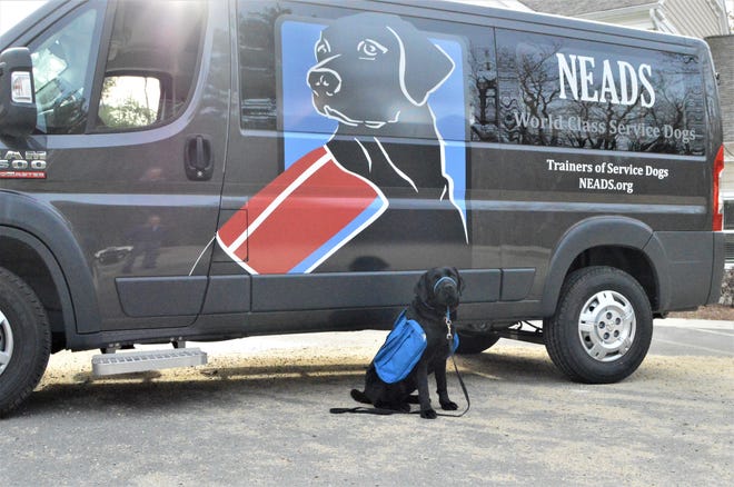 NEADS Service Dog in Training Boomer poses in front of the van. [SUBMITTED PHOTO]