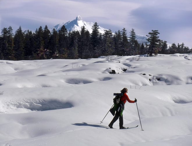 Mount Washington rises above a skier on Mount Washington Wilderness lava fields. [William Sullivan]