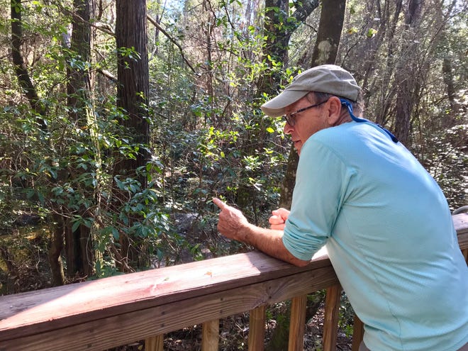 Jack Sanborn, the founder of Adventures Unlimited Outdoor Center in Milton, looks over Wolfe Creek during a tour of the 200-acre property. [SAVANNAH EVANOFF/DAILY NEWS]