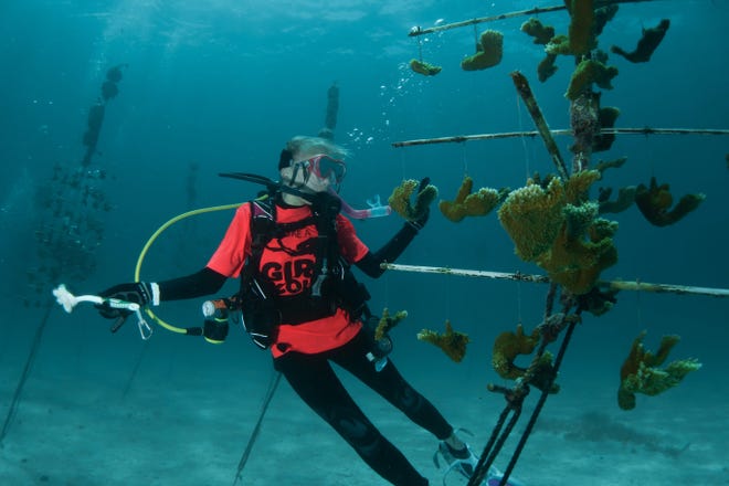 In Florida, Girl Scout Troop 40348, including Emily Martinez, replanted coral. Troop 40348 does everything a typical Girl Scout troop does, but they do it underwater as what is believed to be the first scuba troop in the country. [Contributed by Chris Graf]