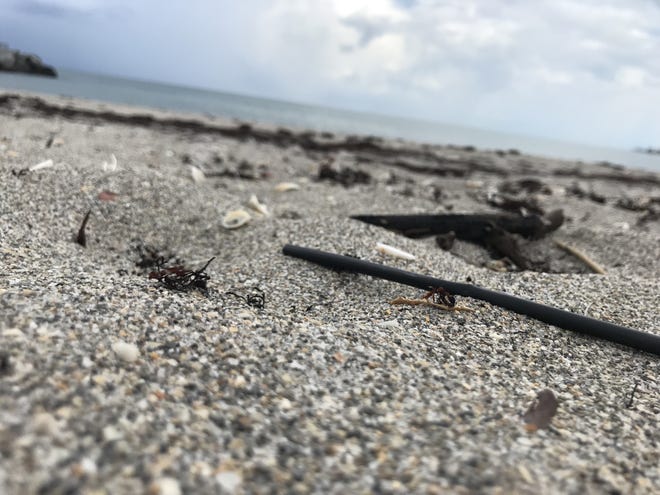 A plastic straw spotted on Jupiter Beach on July 23, 2018. Jupiter's beach committee met the same night to discuss whether or not the town should pass an ordinance to ban these single-use plastic straws. (Sarah Elsesser/ Palm Beach Post).