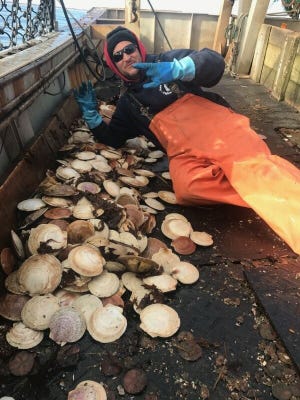 The New England Fishmongers recently added scallops to the fish they sell like monkfish, redfish, pollock and skate to local chefs and everyday home cooks at markets. [Courtesy photo]
