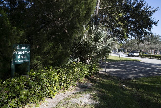 Natural Preserve Area between Forest Hill Boulevard and the Mall at Wellington Green, Monday in Wellington on January 14, 2019. [ALLEN EYESTONE/palmbeachpost.com]