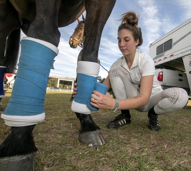 Leila Saxe of Atlanta, GA., wraps the legs of one of her horses with standing wraps after competing in the Junior Young Open Preliminary division at the Grand Oaks Resort located in Weirsdale. The event, USEA Trials, is a three-event trial that includes dressage, jumping and cross county. The course was designed by Olympic silver medalist and noted designer Clayton Fredericks, who now lives in Anthony. The events continues Saturday and Sunday starting at 8 a.m. [Doug Engle/Ocala Star-Banner]