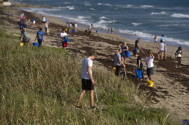 Friends of Palm Beach hosted a beach clean up Dec. 15. More than 100 volunteers showed up to remove debris from the beach in the 1500 block of South Ocean Boulevard. [Meghan McCarthy/palmbeachdailynews.com]
